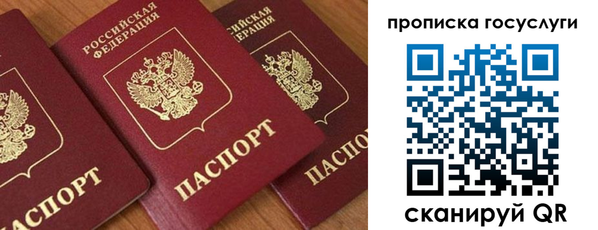 временная прописка в Жукове